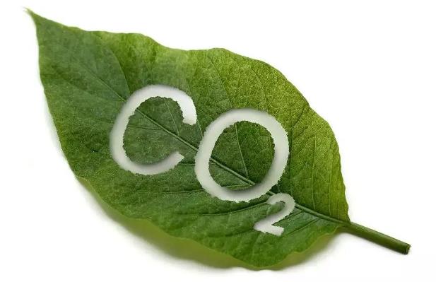 Carbon Reduction.jpg